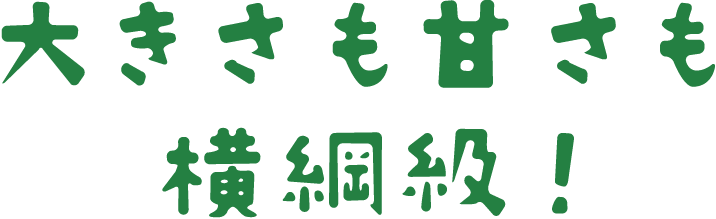 おいしさも甘さも横綱級!
